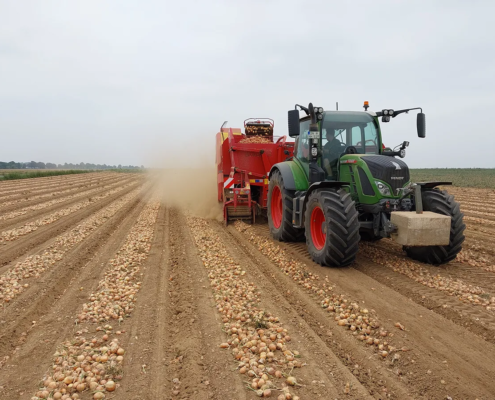 Neusteiner-Hof-Images (1)