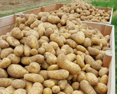 Neusteiner-Hof-Images (10)