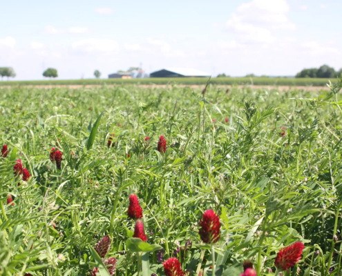 Neusteiner-Hof-Images (2)