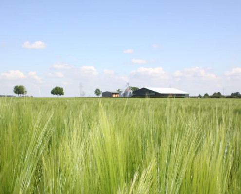 Neusteiner-Hof-Images (3)