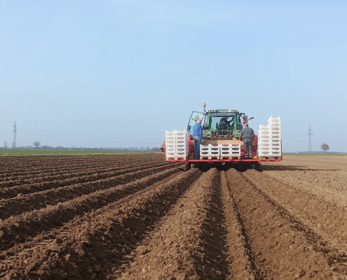 Neusteiner-Hof-Images (8)